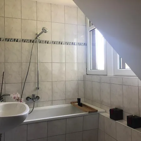 ホームステイ Schlafen In Der Wachwitz *